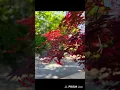 練習唱一小段，你快樂嗎？李幸倪的新歌。填詞非常好。極力推薦。