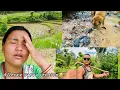 Download Lagu Hamro dog gangle khatra haunting gardiyo..Mero buda je garda ni ramro😃￼#siruthapamagar#vlog#dogs