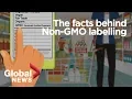 Lagu GMO foods: Why it's 'meaningless' to label genetically-modified organisms