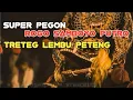 Download Lagu TRETEG LEMBU PETENG LIRIK-ROGO SAMBOYO PUTRO Voc.Novi