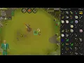 Barrows Bryophyta and Hunting For Ghommal s Hilt 2 Old School RuneScape