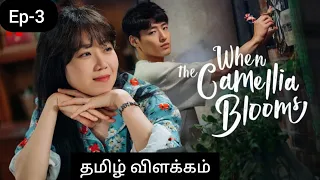 when the camellia blooms ep 3 tamil explanation whenthecamelliablooms chintumintuk love6569