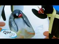 Download Lagu Pingu is Full of Surprises! 🐧 | Pingu - Official Channel | Cartoons For Kids