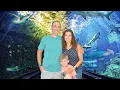 Visiting the Adventure Aquarium in Camden NJ