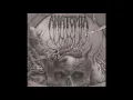 Download Lagu Anatomia - Excarnated