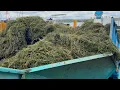 We re ready to go Chautauqua s prepare to tackle weeds in Chautauqua Lake this summer
