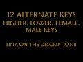 dying on the inside Karaoke - Nessa Barrett Instrumental Lower Higher Male Original Key
