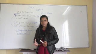 What is visual basic class 8 computer basic