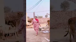 علیزہ سحر اس کے سب ویڈیو اپنے کلچر کلچر کی وجہ سے اپنا شوہرت حاصل کیا 