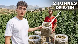 J'INFILTRE une PRODUCTION de CANN*B*S au Maroc