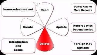 Delete cruD Using CX - ORACLE and Python