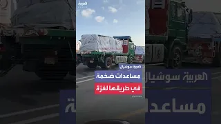 مصر ترسل أضخم قافلة مساعدات إلى غزة  مصر ترسل أضخم قافلة مساعدات إلى غزة