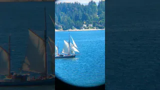 Eye spy a pretty boat👀⛵️#reels #sailing