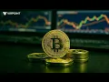Bitcoin Halving Rainbow Chart Explained