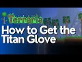 How to Get the Titan Glove in Terraria