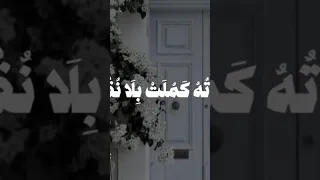 يعلو ولا يعلى وجل علوه 