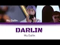 Darlin– Wu Dailin (吴岱林) | Eng/Pin lyrics