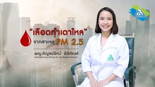 เลือดกำเดาไหลเกิดจากสาเหตุอะไรบ้าง และ PM 2.5 มีผลอย่างไรต่อการเกิดเลือดกำเดา