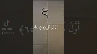 سورة طه القارئ أحمد خضر 