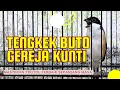 Download Lagu MASTERAN CENDET TERBAIK MATERI FULL TEMBAKAN PALING DI CARI VIRAL TAHUN 2025, CENDET GACOR ISIAN