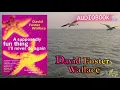 A Supposedly Fun Thing I ll Never Do Again by David Foster Wallace book Part 1