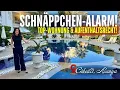 Download Lagu JETZT SCHNELL SEIN!! AUFENTHALTSRECHT | VIEL WOHNUNG FÜR WENIG GELD IN #ALANYA/CIKCILLI #roomtour