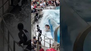 Massive Orca Whale Wave Crash On Guests Seaworld Funny Orca Killerwhale Orcaencounter 