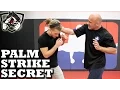Download Lagu Bas Rutten's Palm Strike KO Secret Technique: Bone Strikes