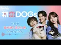 ドラマ 『初恋DOGs』 主題歌 「愛が通り過ぎた跡 Where love passed」 SEVENTEEN 【Kan/Rom/English Lyrics】 첫사랑DOGs