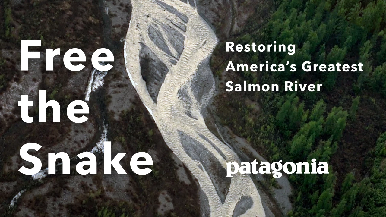 Free the Snake: Restoring America’s Greatest Salmon River