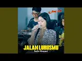 Download Lagu Jalan Lurusmu