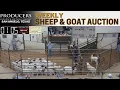 West Texas Small Stock Auction LIVE San Angelo Sheep Goat Sale Feb 24 2026