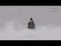 Red Eye / Namida【Official Visualizer】