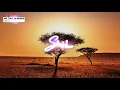 MR TOUT LE MONDE  -  Africa