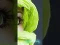 Download Lagu Aankhen Teri kitni Haseen status new WhatsApp status video 2021