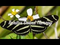 Download Lagu Best Tinnitus Sound Therapy Ever