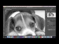 Photoshop Turning Image into a Bitmap