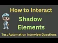 How to Interact with Shadow Elements in Selenium 4