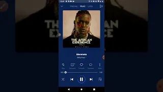 a taste of the the african experience album willpaul