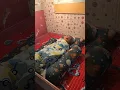 Download Lagu BAYI LAHIR HANYA KURANG DARI 2 JAM SAJA DI KLINIK