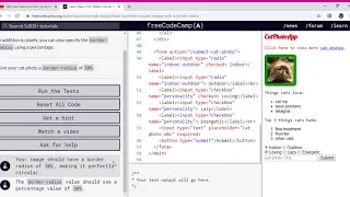 Learn Basic CSS Make Circular Images with a border radius freeCodeCamp org Google Chrome 2019 1