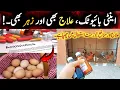 Use of antibiotic in poultry to improve egg production from hens