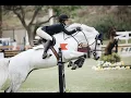 Lagu Hero's Tonight || Equestrian Music Video ||  I don't own this song or footage:)
