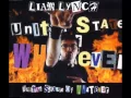 Liam Lynch - United States of Whatever (2002) HD