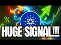 Download Lagu JIKA ANDA MEMEGANG CARDANO, HENTIKAN SEMUANYA DAN TONTON INI SEKARANG JUGA!!! | SINYAL BESAR | PR...