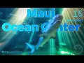 Visiting the Maui Ocean Center Aquarium Indulging in a Scenic Lunch at Seascape Restaurant