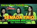 Download Lagu DONGAN MATUA // Cover SENADA TRIO // Cipt : Robert Marbun @hangganeriksonchannel8093
