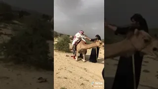 ١٥ مايو  ٢٠٢٢ دندنها