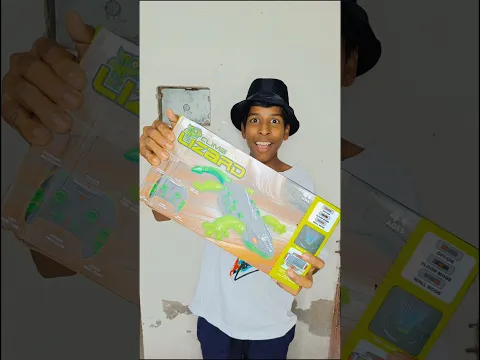I gave my friend a large lizard for his birthday. #shorts #viral #trending #youtubeshorts