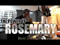 Download Lagu The Power Of Rosemary Tea - YOU WON'T BELIEVE IT